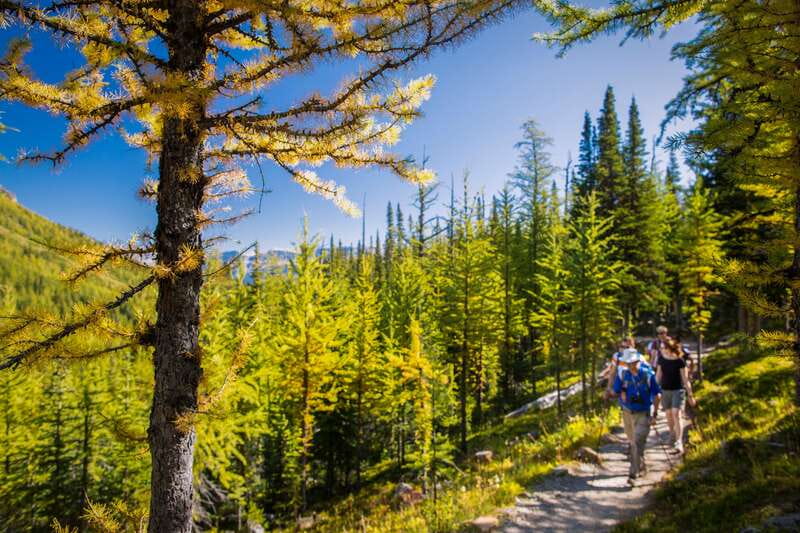 Banff National Park: Guided Signature Hikes with Lunch - The four hikes at a glance