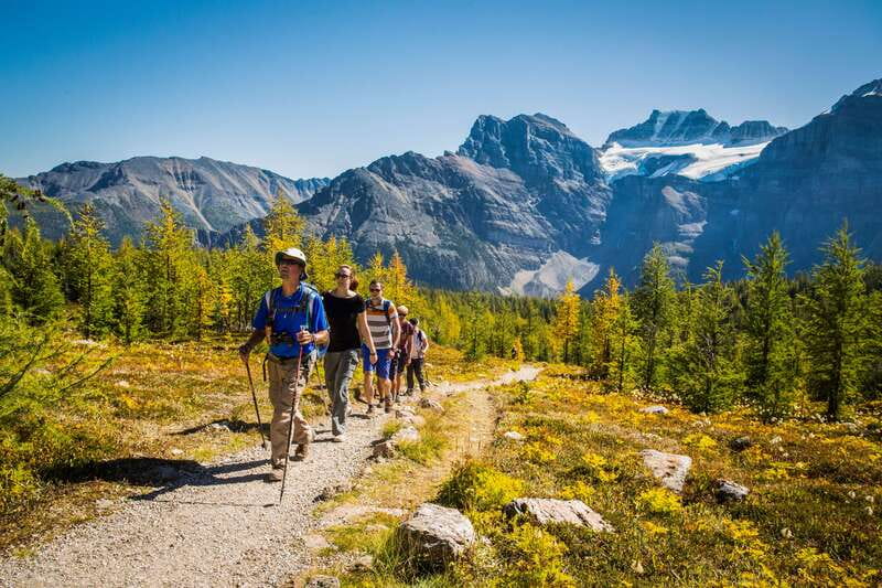 Banff National Park: Guided Signature Hikes with Lunch - Why a guided hike makes sense here