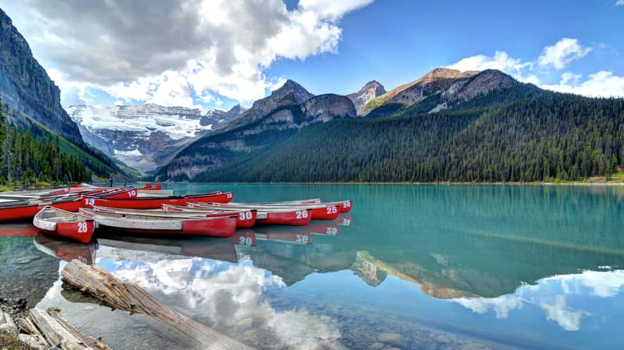 Banff National Park: Hop-On-Hop-Off Bus Day-Pass - The guides are the real strength