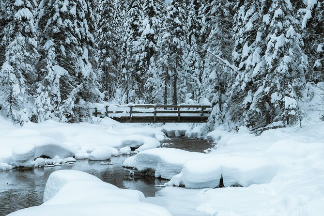 Banff National Park & Lake Louise FULL DAY PRIVATE TOUR - Bow Falls Brings You Into Banff