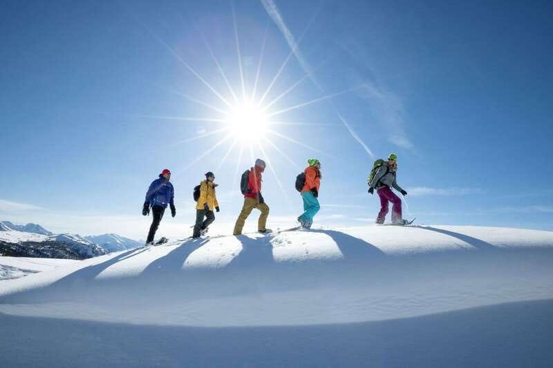 Banff National Park: Sunshine Meadows Snowshoeing Experience - From the Mount Royal Hotel to Sunshine Village