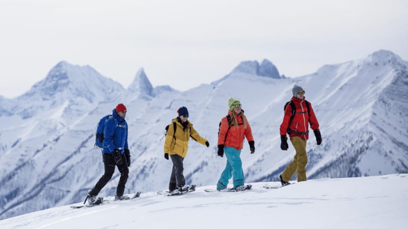 Banff National Park: Sunshine Meadows Snowshoeing Experience - Is $102 a fair price for four hours?