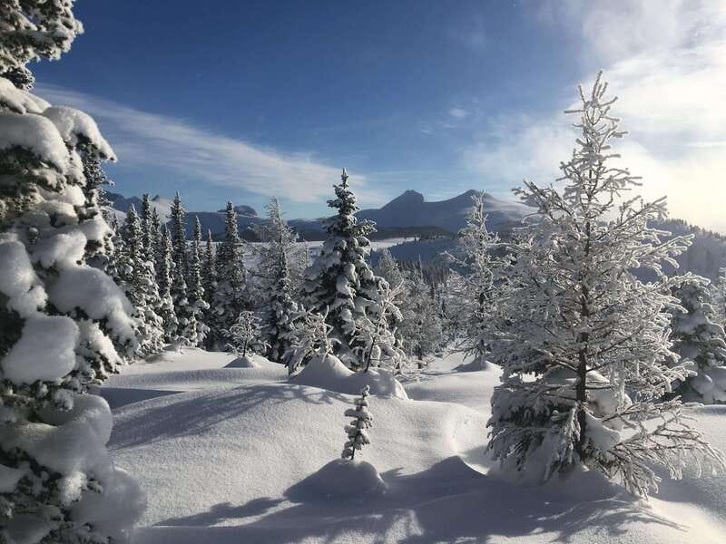 Banff National Park: Sunshine Meadows Snowshoeing Experience - Who should book this Sunshine Meadows outing?