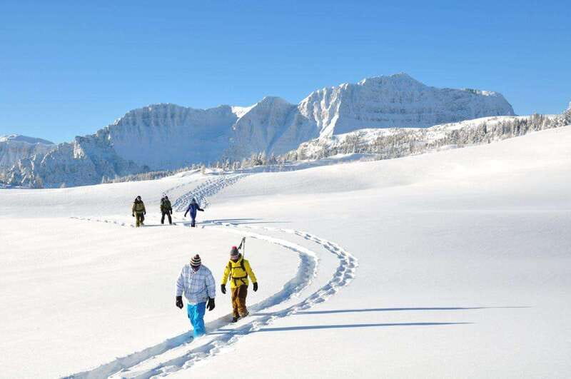 Banff National Park: Sunshine Meadows Snowshoeing Experience - Practical booking and preparation advice