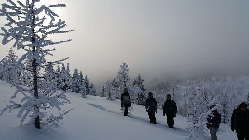 Banff National Park: Sunshine Meadows Snowshoeing Experience - Riding the gondola and chairlift above the resort