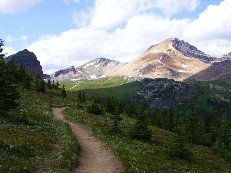 Banff PRIVATE Guided Nature Walk + Transportation - 2.5H - Two hours on a flexible Banff trail