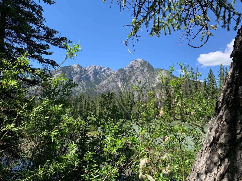 Banff PRIVATE Guided Nature Walk + Transportation - 2.5H - Bow River views, mountain scenery, and photo stops