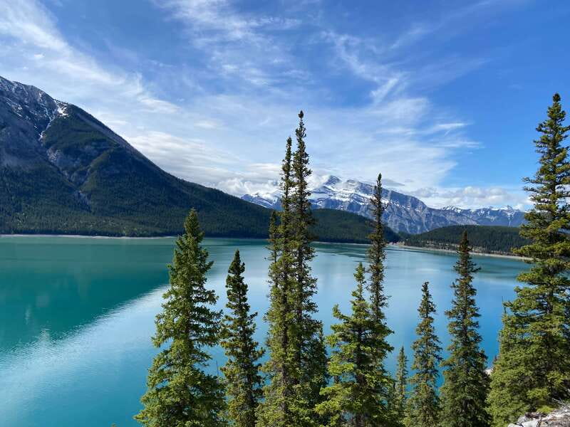 Banff PRIVATE Guided Nature Walk + Transportation - 2.5H - Bear safety and mountain survival lessons