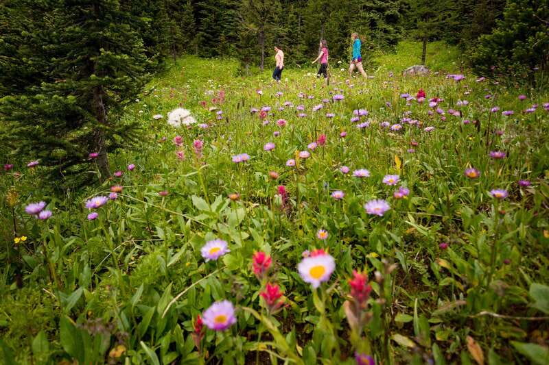 Banff PRIVATE Guided Nature Walk + Transportation - 2.5H - Starting at Cave and Basin