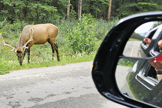 Banff Private Tour - Beyond the basics - Banff Avenue for one hour and 30 minutes