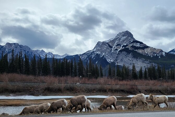 Banff Private Tour - Beyond the basics - Two Jack Lake and Lake Minnewanka
