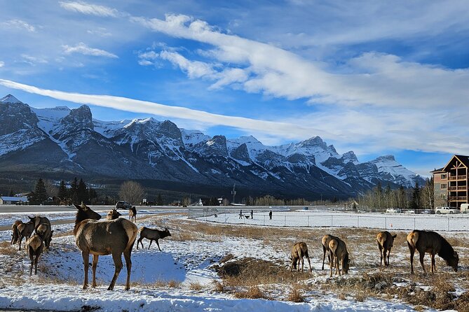 Banff Private Tour - Beyond the basics - The ride west from Calgary