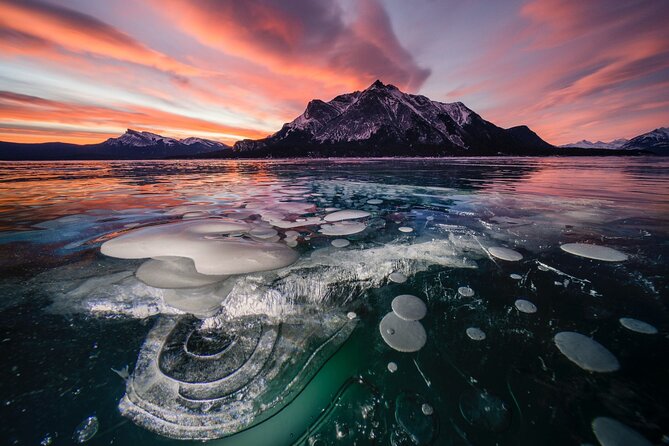 Banff Stargazing and Night Sky Tour from Canmore or Banff - What the Banff National Park stop is really like