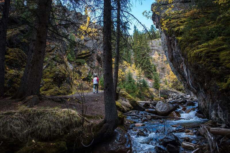 Banff: Thermal Waters and Hidden Waterfalls - 3hr Walk - Hot springs, forest paths, and small waterfalls