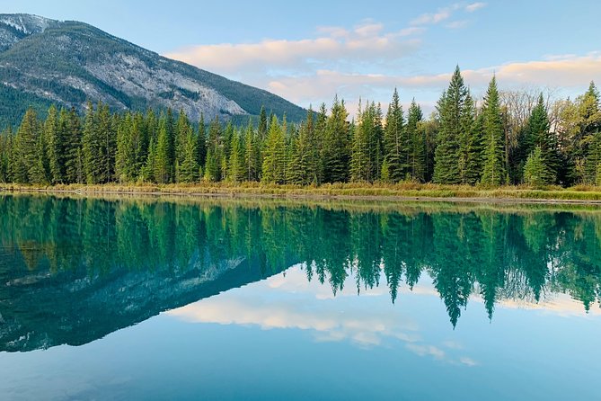 Banff to Calgary Private Shuttle - Drivers, vehicles, and the feel of the ride