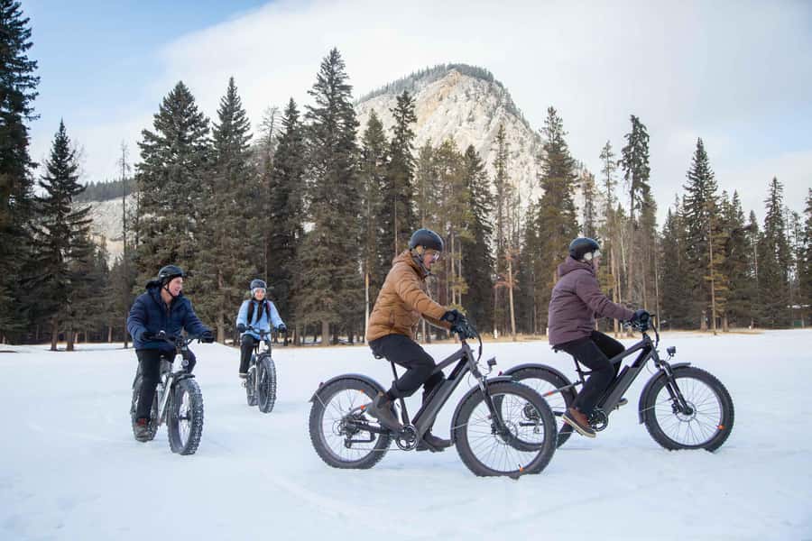 Banff Top Sights via Electric Fat Bike Tour All Skill Levels - Why the electric fat bike matters