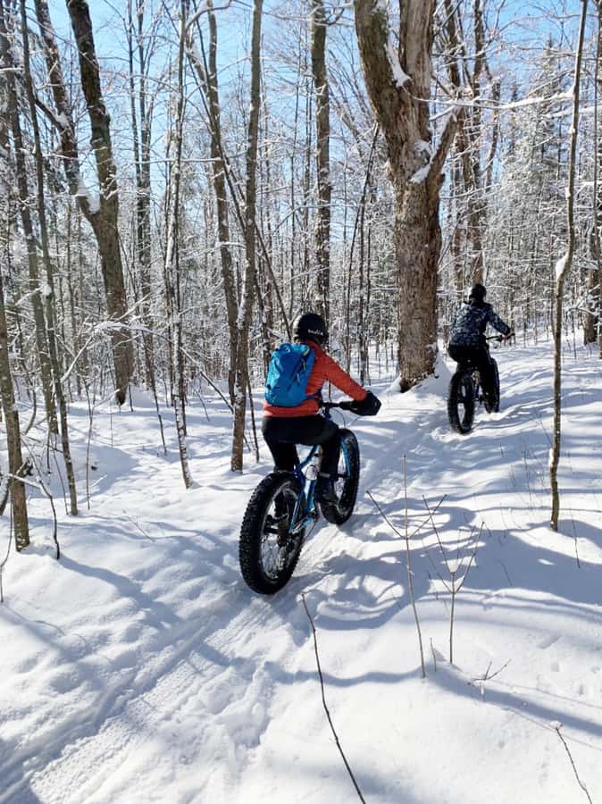 Banff Top Sights via Electric Fat Bike Tour All Skill Levels - A short orientation makes the bikes less intimidating