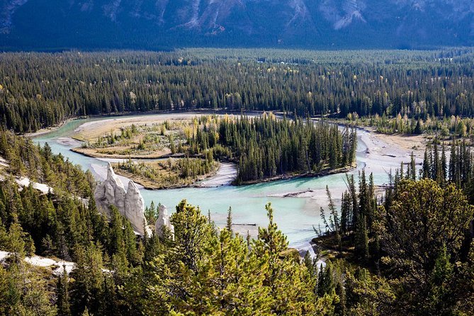 Banff Tour with Gondola & Lake Cruise - roundtrip from Banff - Riding the Banff Gondola to 7,486 feet