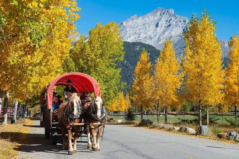 Banff: Wagon Ride with Cowboy Cookout BBQ - Arriving at 3 Mile Cabin