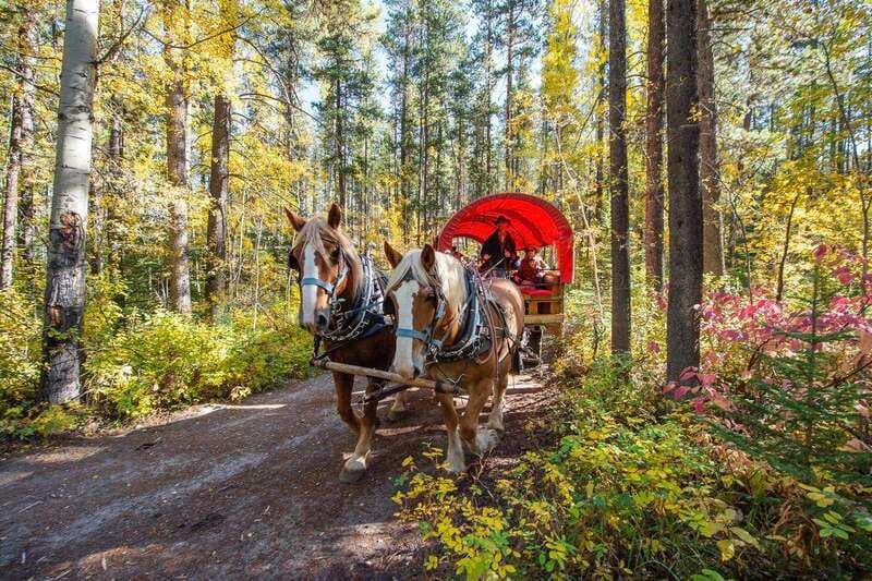 Banff: Wagon Ride with Cowboy Cookout BBQ - Lassoing and horseshoes between courses