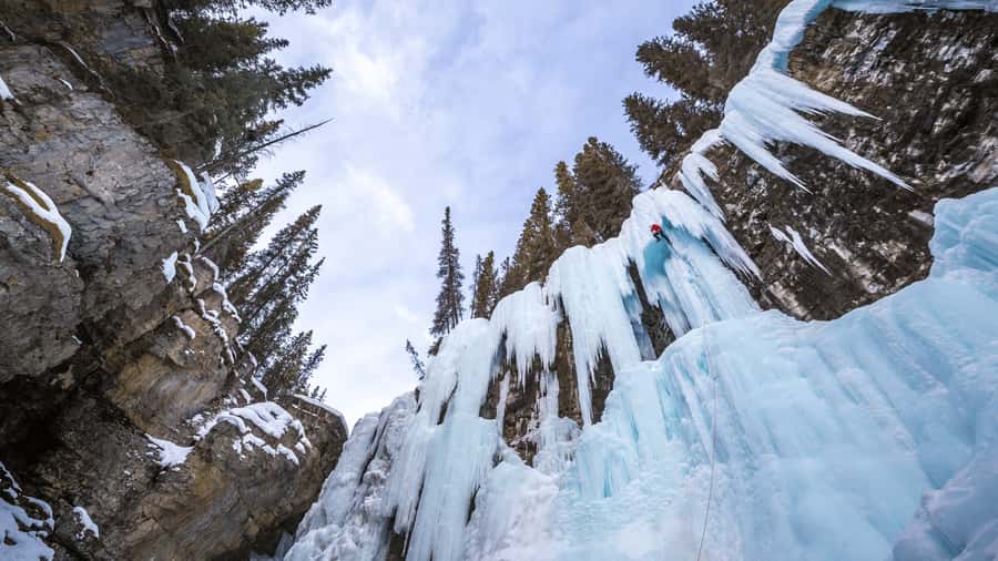 Banff: Winter Day Tour with Banff Gondola & Johnston Canyon - Key points to know before booking