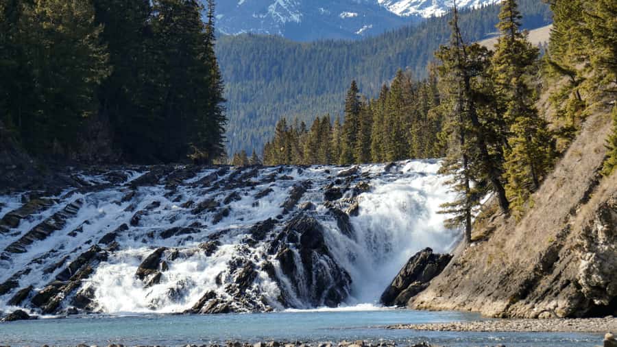 Banff: Winter Day Tour with Banff Gondola & Johnston Canyon - Why this winter combination works