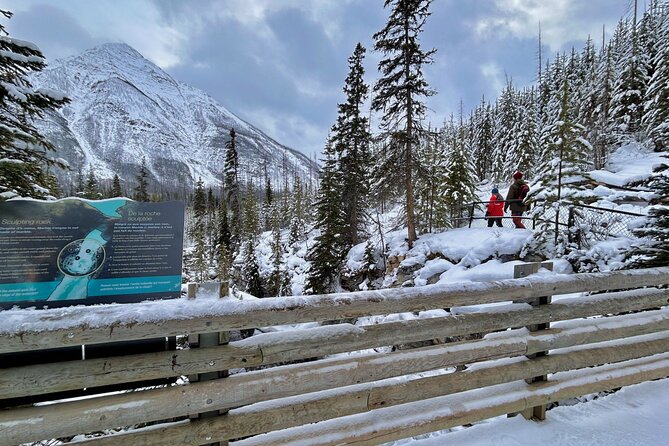 Banff, Yoho, & Kootenay National Parks Billingual Day Trip - Key points at a glance
