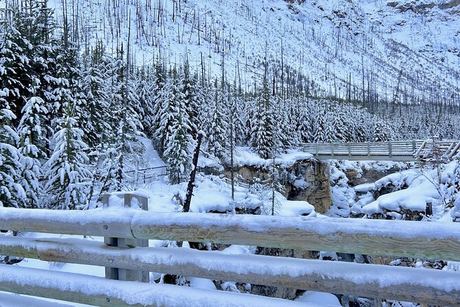 Banff, Yoho, & Kootenay National Parks Billingual Day Trip - Group size, timing, and what your $234.21 covers