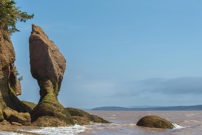 Bay of Fundy Tour by Bus - Key points to know before booking