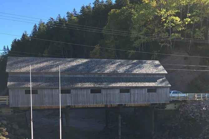 Bay of Fundy Tour by Bus - Why this Saint John tour works well for a port day