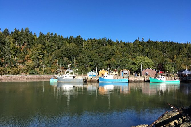Bay of Fundy Tour by Bus - Fort Howe gives you the city from above