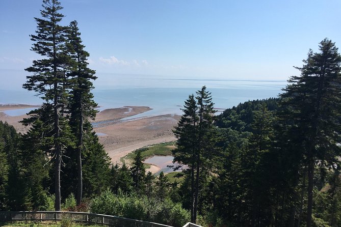 Bay of Fundy Tour by Bus - Saint John City Market: a taste of the working city