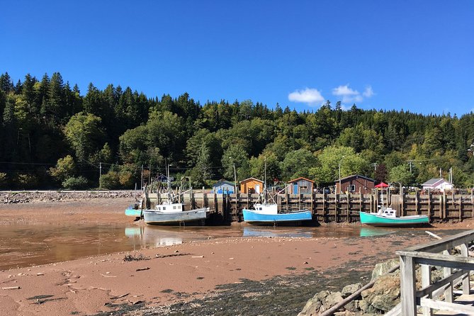 Bay of Fundy Tour by Bus - Lunch near the caves is part of the rhythm
