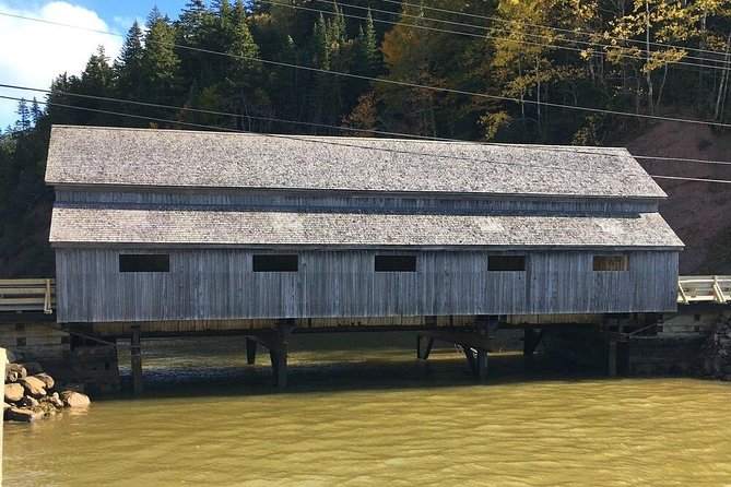 Bay of Fundy Tour by Bus - Reversing Falls: Saint John’s moving river