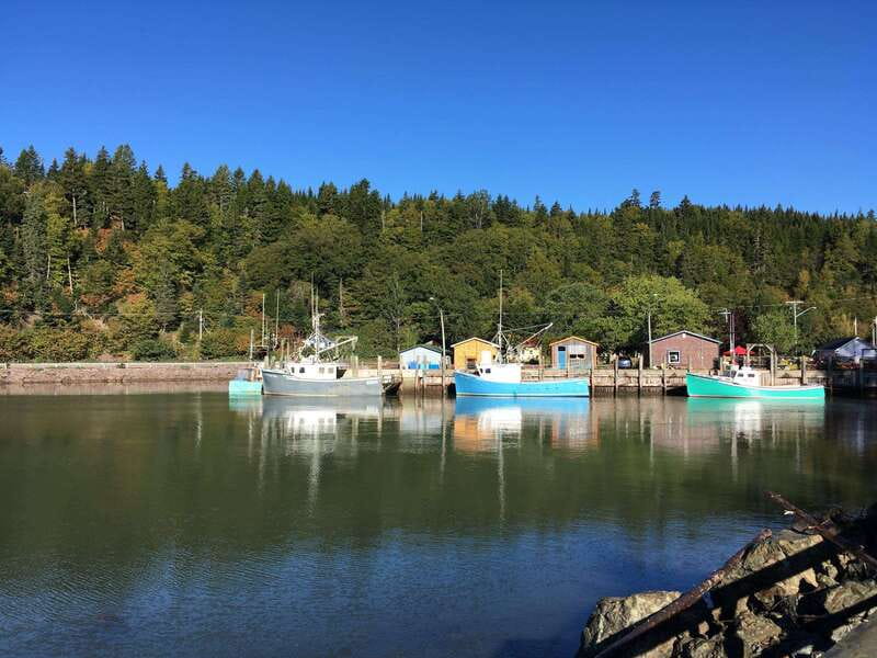 Bay of Fundy Tour by Mini Van - A six-hour introduction to Saint John and the Bay of Fundy
