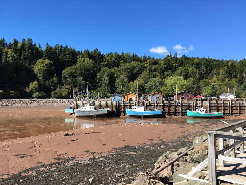 Bay of Fundy Tour by Mini Van - Reversing Falls, where the tide changes the river