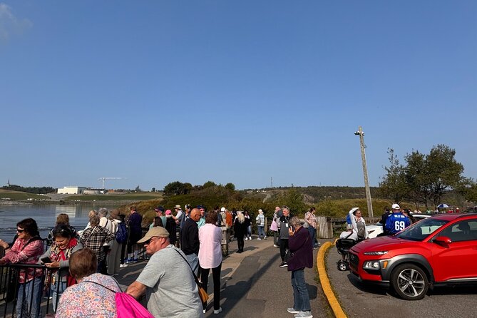 Bay of Fundy Tour Saint John NB - Rockwood Park brings in fresh air