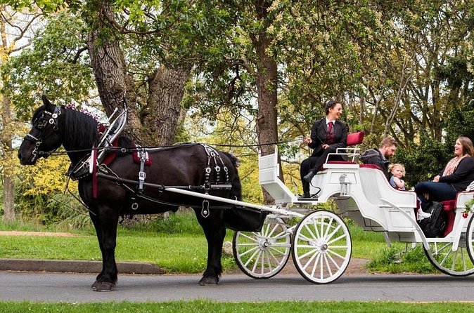 Beacon Hill Park Horse-Drawn Carriage Experience in Victoria - James Bay and Victoria’s Victorian side
