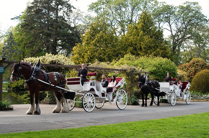 Beacon Hill Park Horse-Drawn Carriage Experience in Victoria - The horses and the people behind the ride