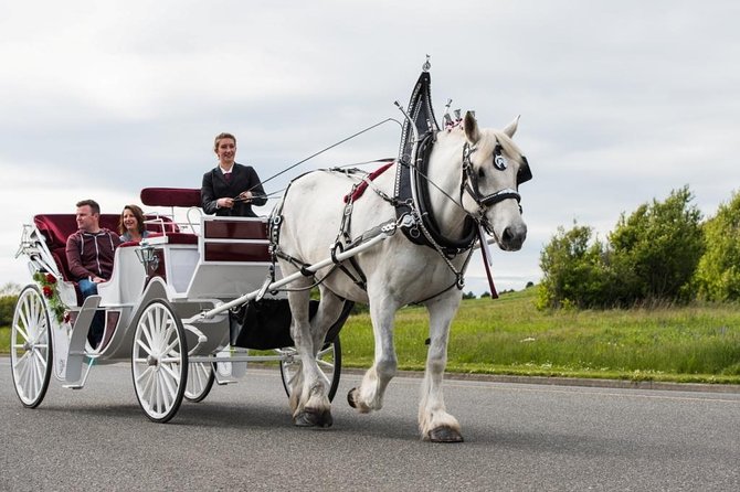 Beacon Hill Park Horse-Drawn Carriage Experience in Victoria - Comfort, group size, and practical details