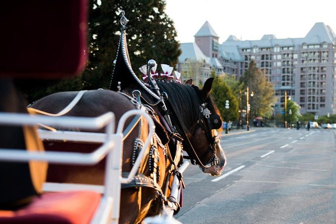 Beacon Hill Park Horse-Drawn Carriage Experience in Victoria - Who will enjoy this Victoria carriage ride?