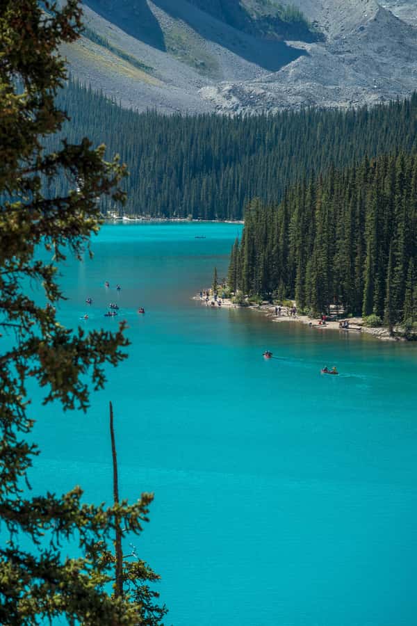 Best of Banff, Lake Louise & Moraine Premium Guided Day Tour - The return route and wildlife watch
