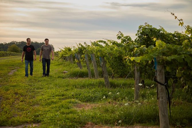 Between the Lines Cheese and Charcuterie Picnic - Who should book this Niagara wine experience?