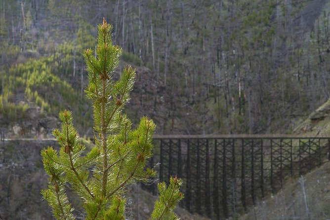 Bicyle Tour on Historical Kettle Valley Railway from Myra Canyon to Penticton - Rock ovens and railway work beyond Chute Lake