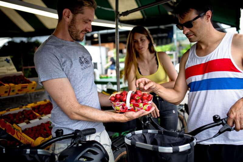 Bike/E-bike tour Plateau,MileEnd, Jean-Talon Market by Fitz - Rolling through the Plateau’s green laneways