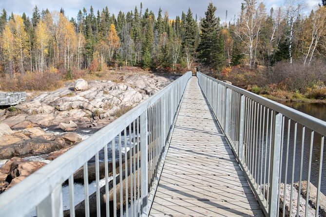 Black Bear viewing and walking at oudoor ctr's Canyon - Timing, buses, and cruise-day planning