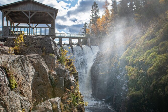 Black Bear viewing and walking at oudoor ctr's Canyon - Who will enjoy this outing most