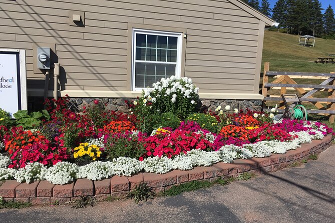 Blackwood Tours: Highland Village, Baddeck, Bell Museum Tour - Baddeck: lunch, shops, and a useful pause