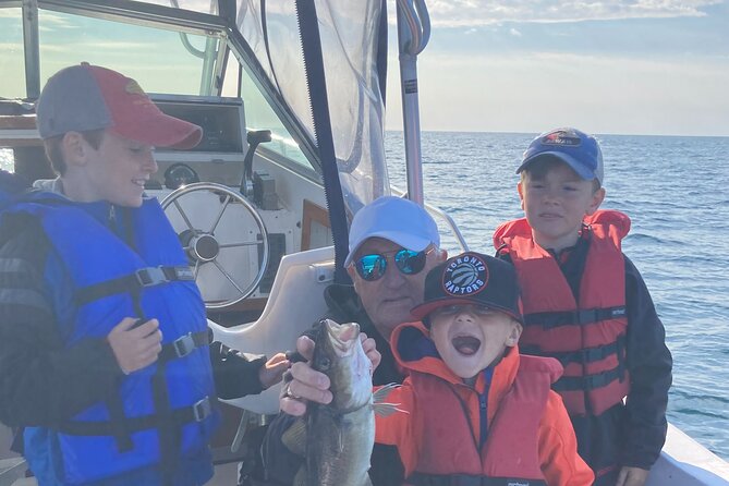 Boat Tours from Quidi Vidi Marina - What Makes This Boat Trip Worth Considering
