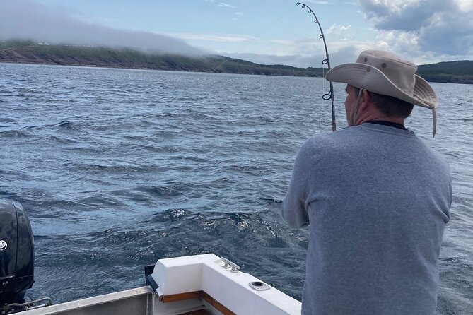 Boat Tours from Quidi Vidi Marina - A Private Boat Changes the Feel